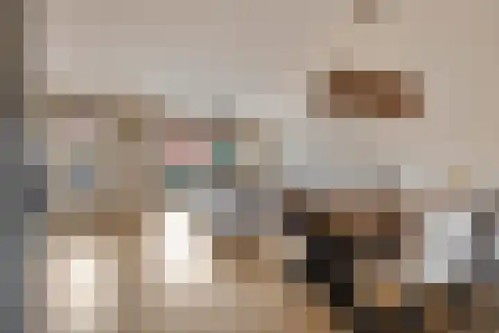 Falster 68 Zaandam thumbnail 5