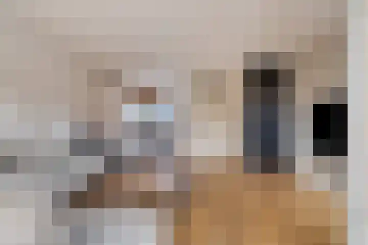 Falster 68 Zaandam thumbnail 7