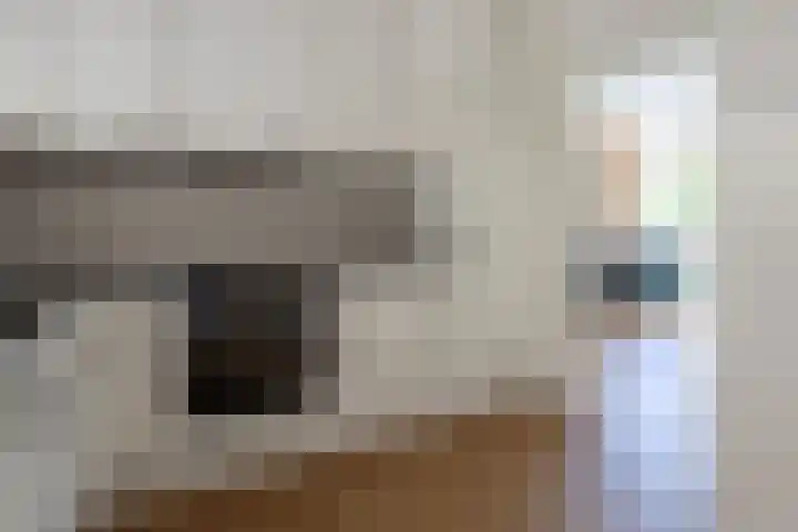 Fam. Broekemastraat 5 Muntendam thumbnail 10