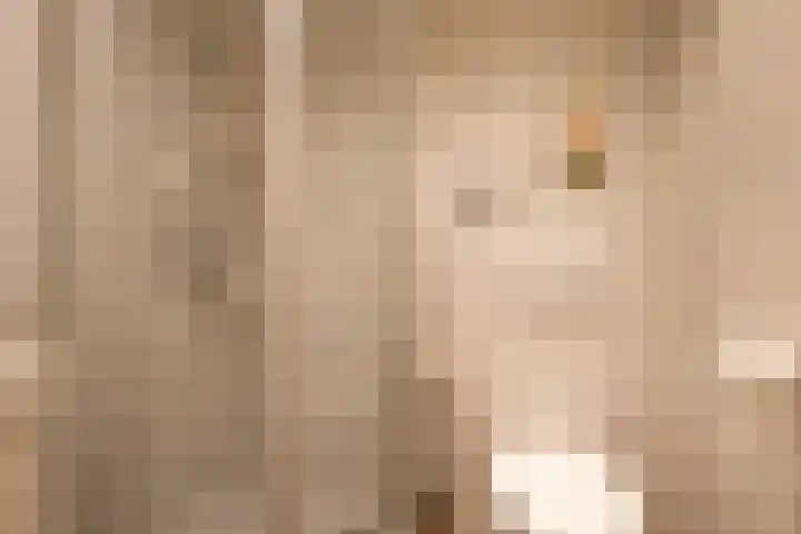 Fam. Broekemastraat 5 Muntendam thumbnail 16