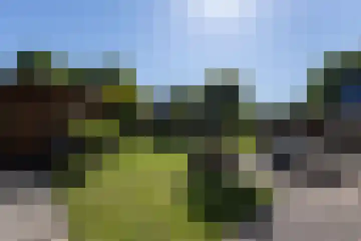 Fam. Broekemastraat 5 Muntendam thumbnail 30