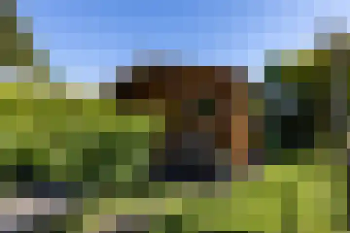 Fam. Broekemastraat 5 Muntendam thumbnail 32