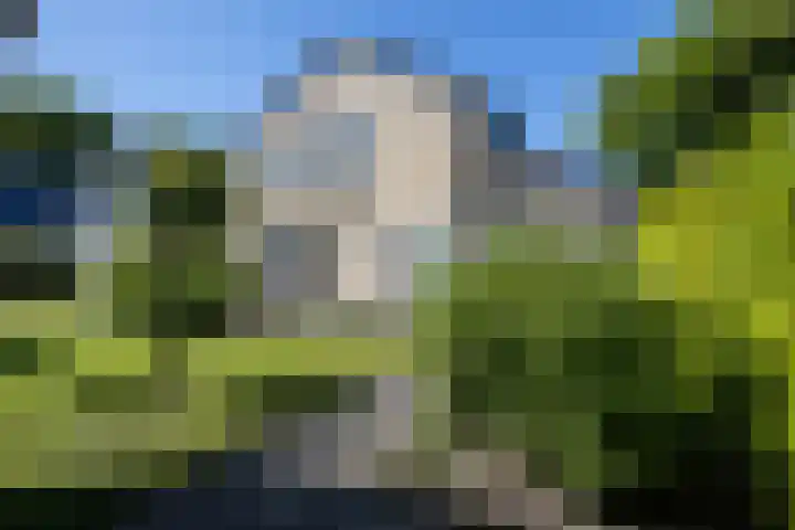 Fam. Broekemastraat 5 Muntendam thumbnail 33