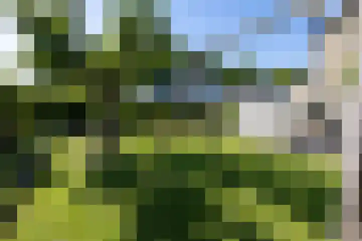 Fam. Broekemastraat 5 Muntendam thumbnail 34