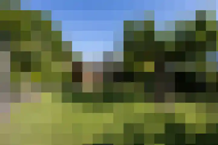Fam. Broekemastraat 5 Muntendam thumbnail 35