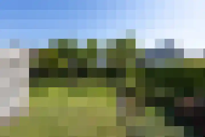 Fam. Broekemastraat 5 Muntendam thumbnail 37