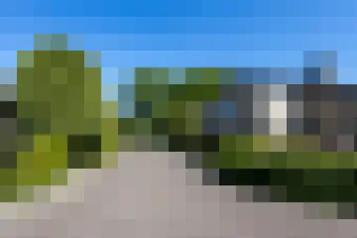 Fam. Broekemastraat 5 Muntendam thumbnail 41