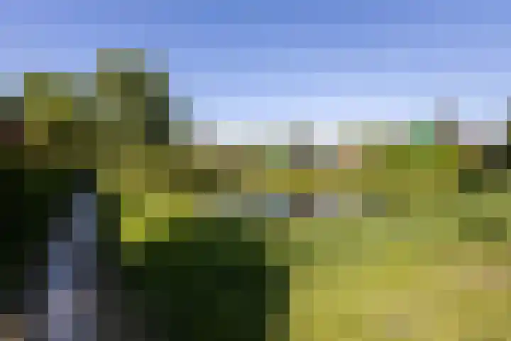Fam. Broekemastraat 5 Muntendam thumbnail 43
