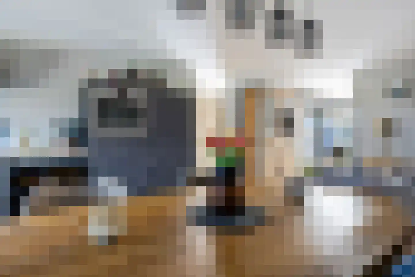 Fam. Levitusstraat 1 Muntendam thumbnail 10