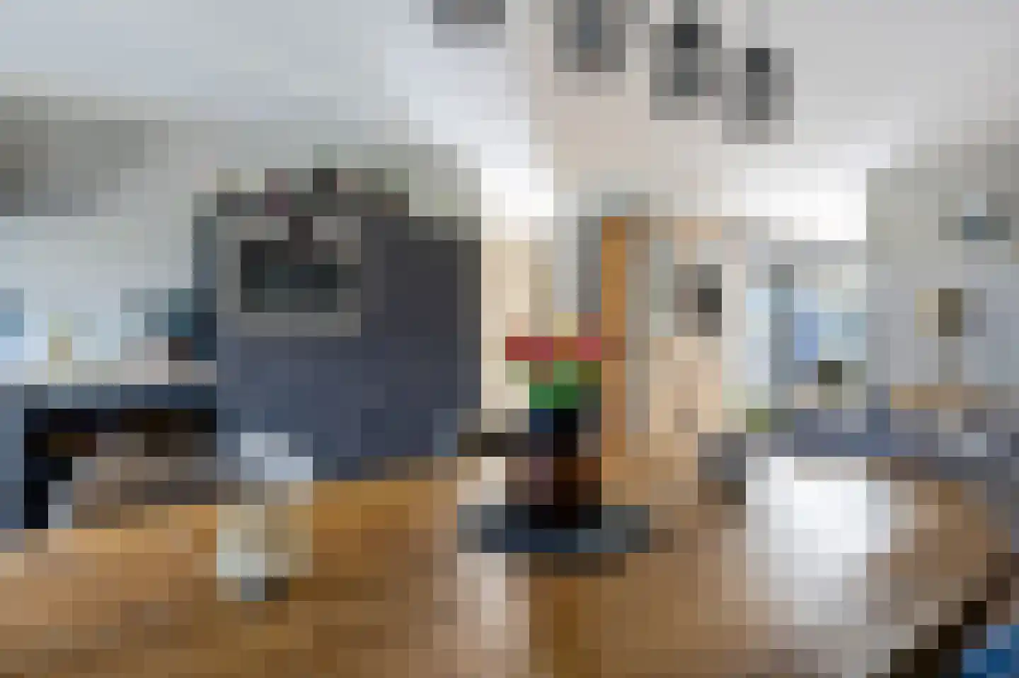 Fam. Levitusstraat 1 Muntendam thumbnail 11