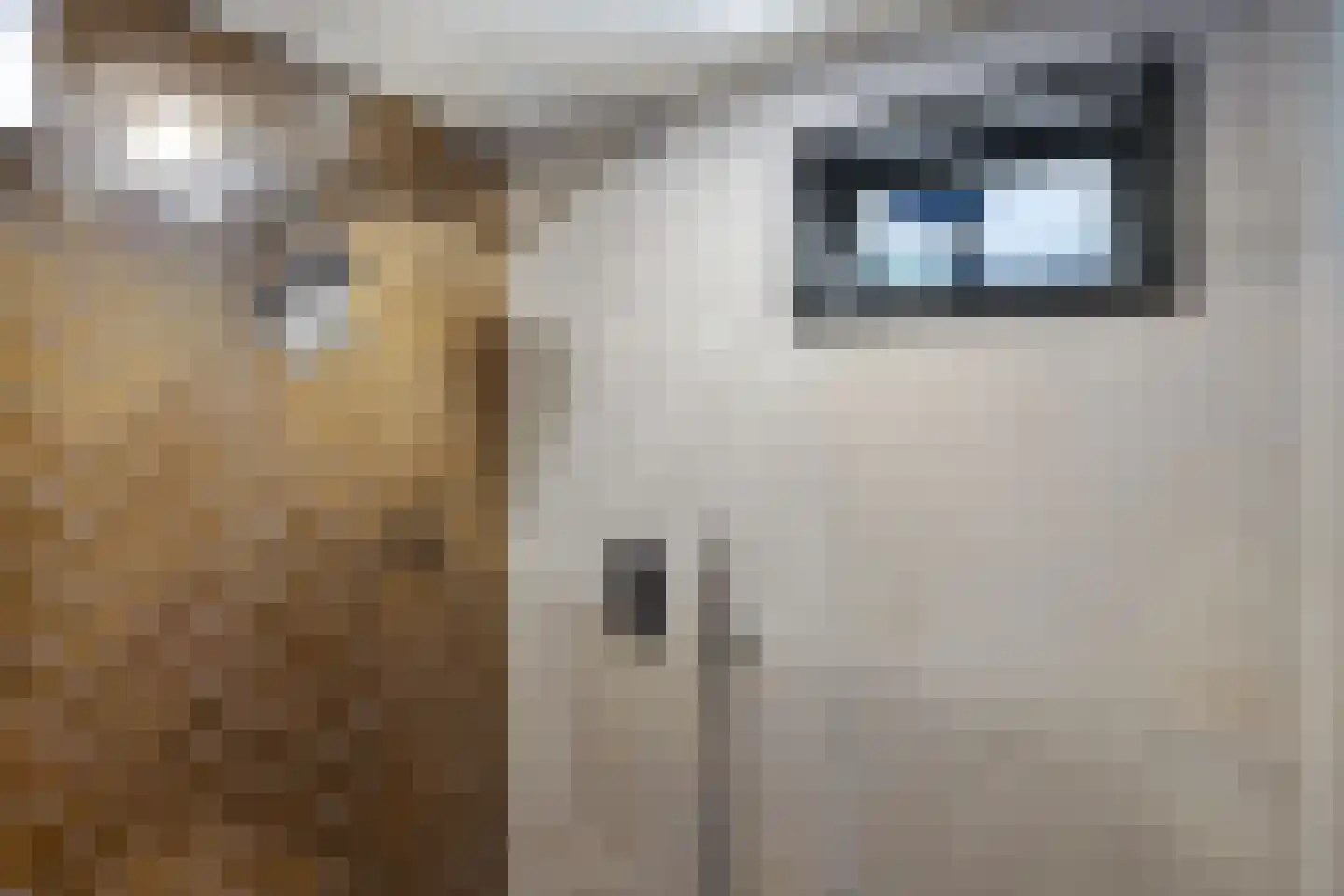 Fam. Levitusstraat 1 Muntendam thumbnail 23