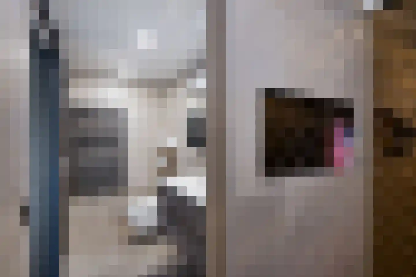 Fam. Levitusstraat 1 Muntendam thumbnail 24