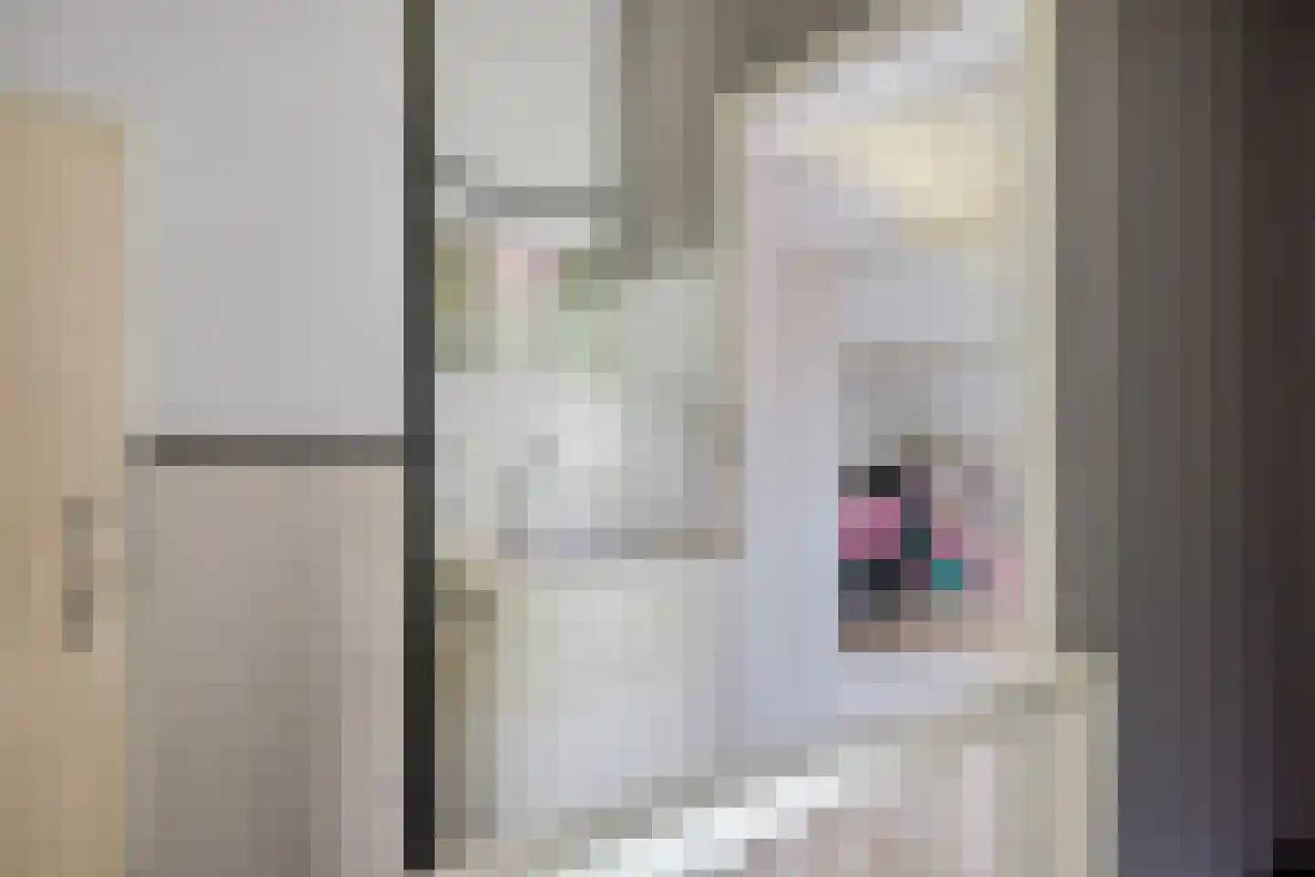 Fam. Levitusstraat 1 Muntendam thumbnail 35