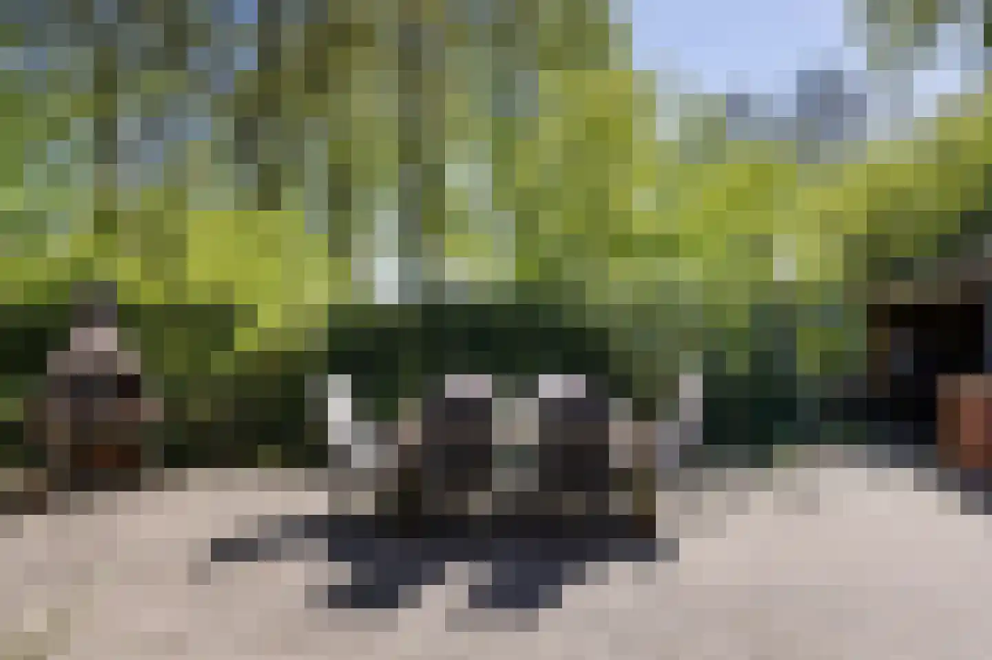 Fam. Levitusstraat 1 Muntendam thumbnail 38