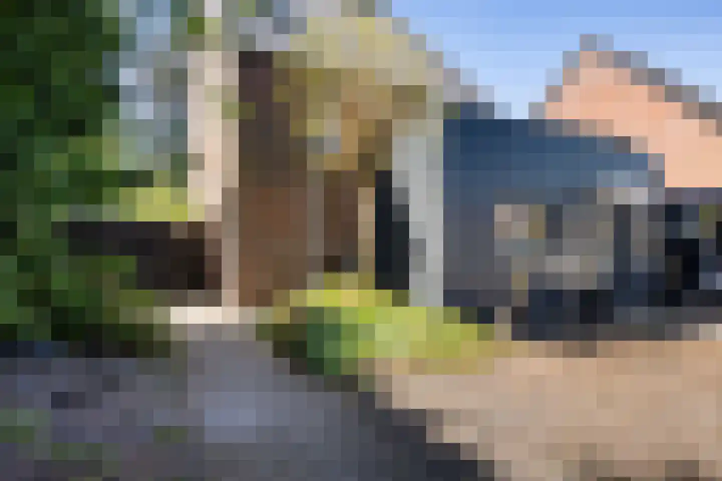 Fam. Levitusstraat 1 Muntendam thumbnail 4
