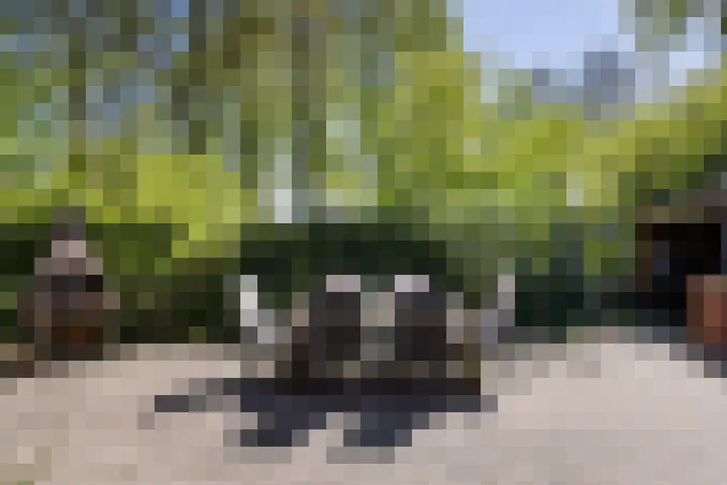 Fam. Levitusstraat 1 Muntendam thumbnail 43