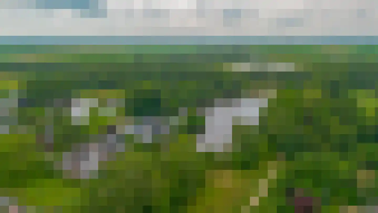 Fam. Levitusstraat 1 Muntendam thumbnail 49