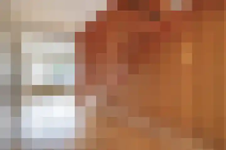 Fam. Schrijverstraat 16 Muntendam thumbnail 13