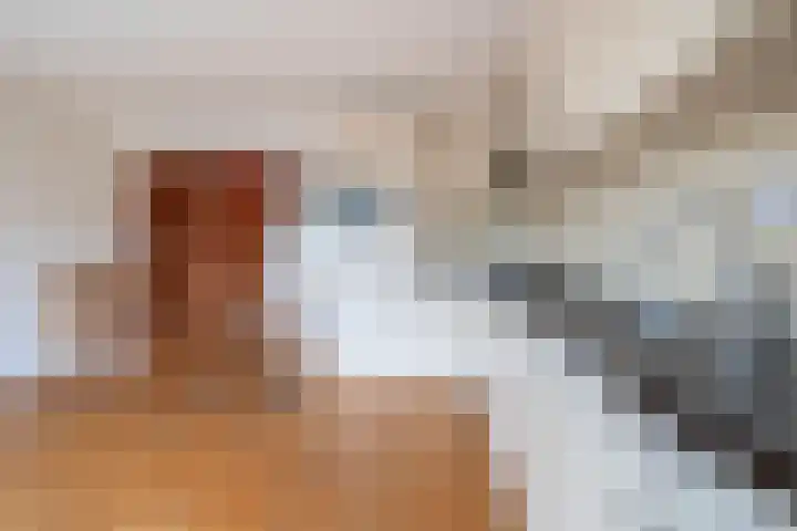 Fam. Schrijverstraat 16 Muntendam thumbnail 14