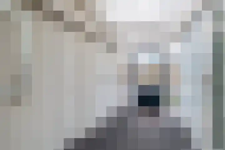 Fam. Schrijverstraat 16 Muntendam thumbnail 18
