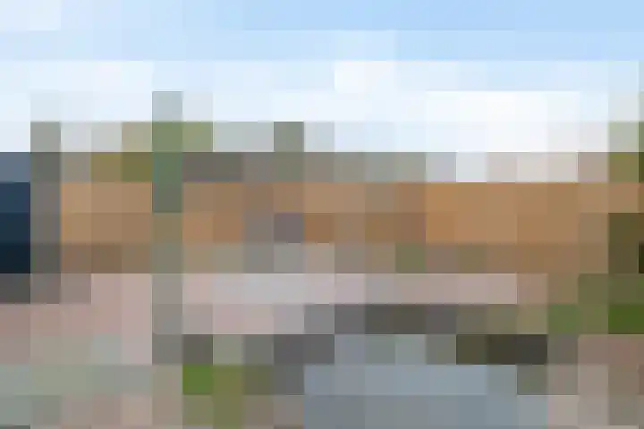 Fam. Schrijverstraat 16 Muntendam thumbnail 29