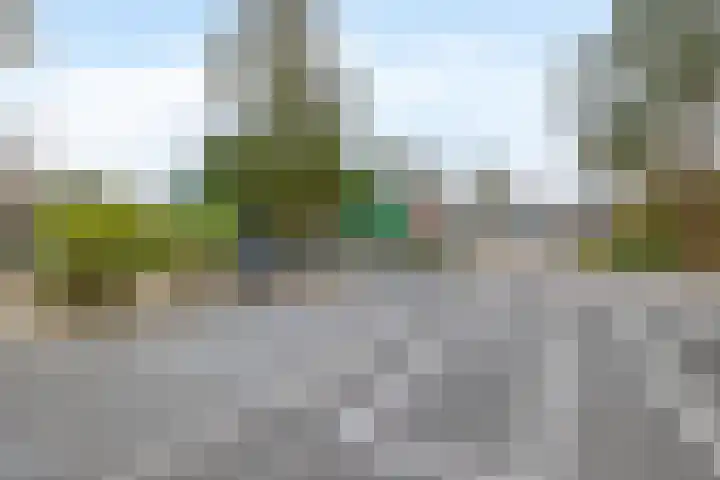 Fam. Schrijverstraat 16 Muntendam thumbnail 30