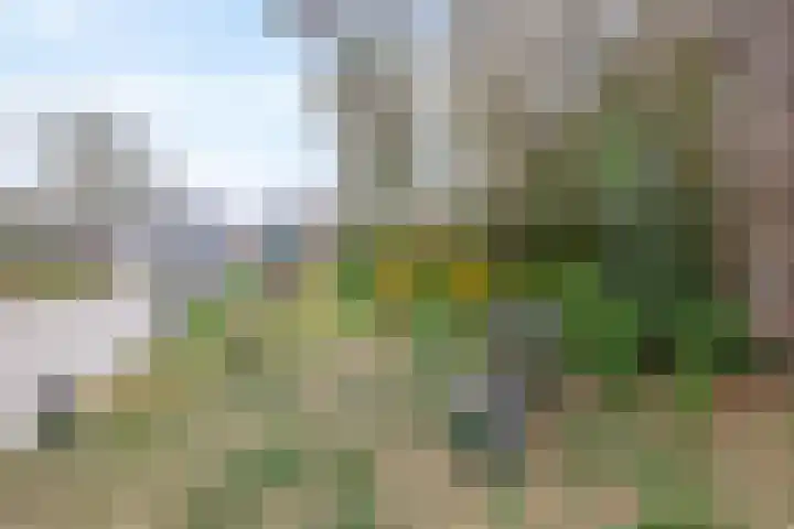Fam. Schrijverstraat 16 Muntendam thumbnail 31