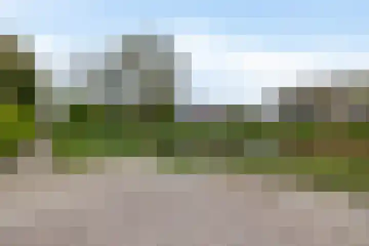 Fam. Schrijverstraat 16 Muntendam thumbnail 32