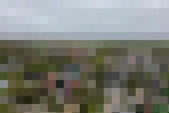 Fam. Schrijverstraat 16 Muntendam thumbnail 33