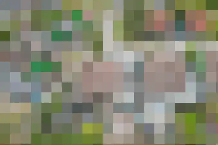 Fam. Schrijverstraat 16 Muntendam thumbnail 34