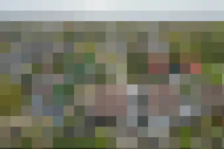 Fam. Schrijverstraat 16 Muntendam thumbnail 35