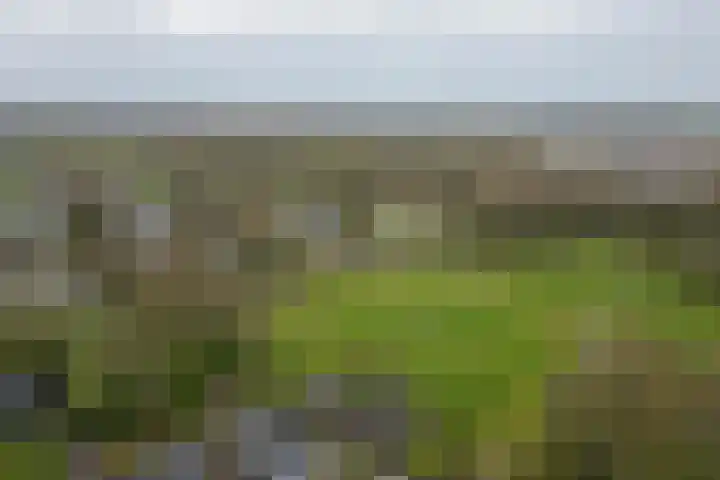 Fam. Schrijverstraat 16 Muntendam thumbnail 36