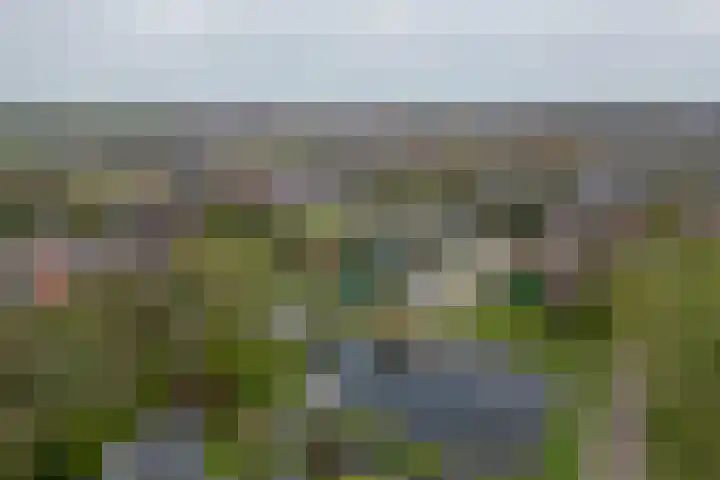 Fam. Schrijverstraat 16 Muntendam thumbnail 37