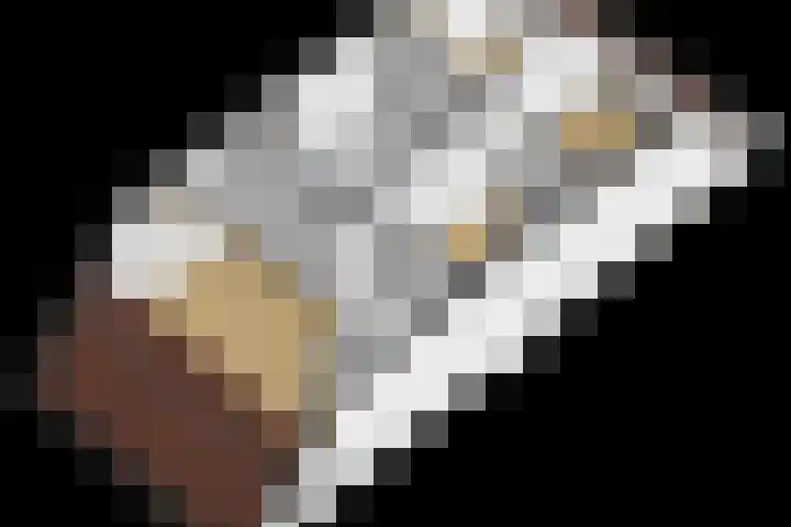 Fam. Schrijverstraat 16 Muntendam thumbnail 41