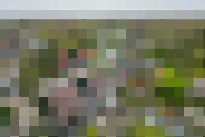 Fam. Schrijverstraat 16 Muntendam thumbnail 6
