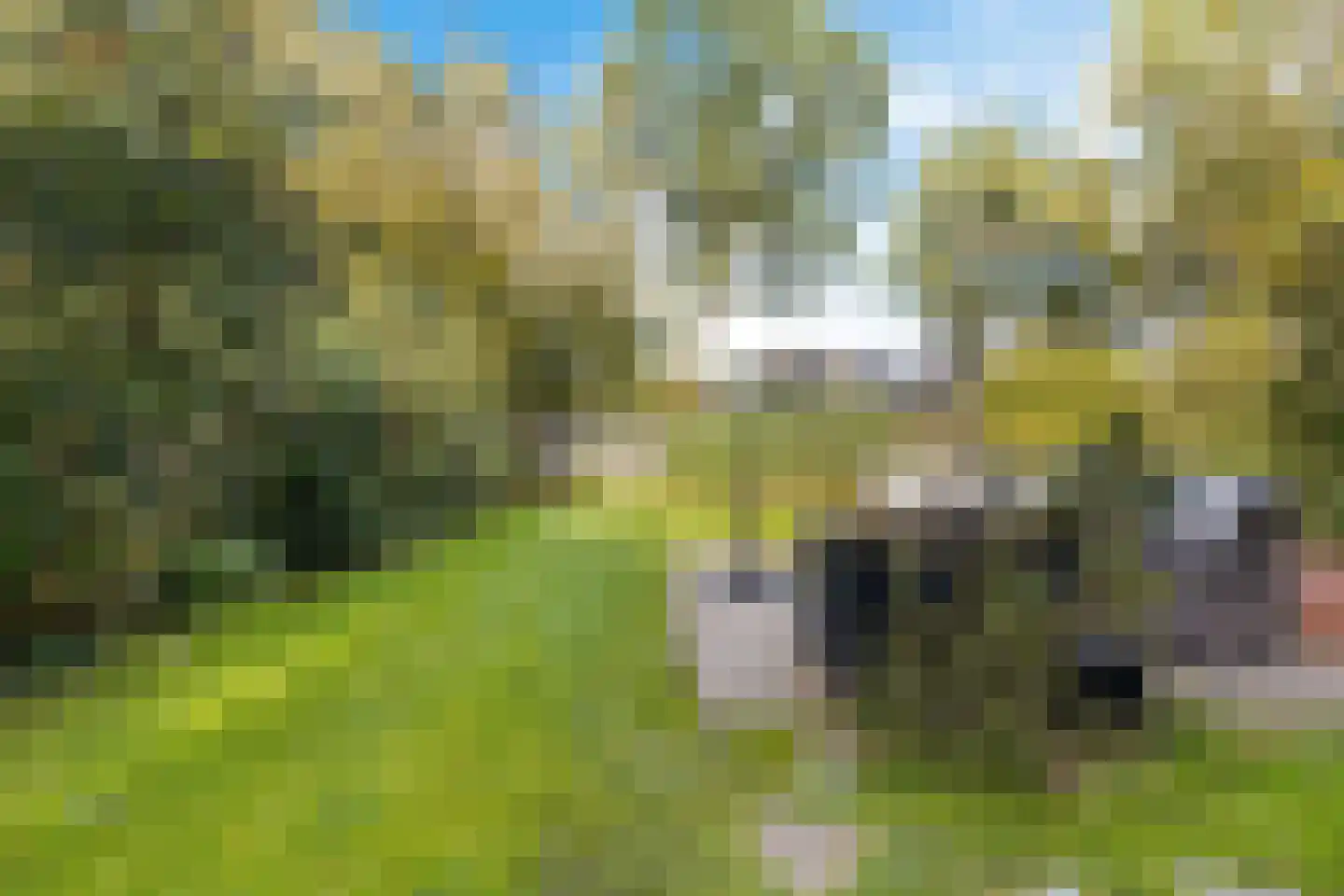 Familie Bronsweg 14 Wagenborgen thumbnail 17