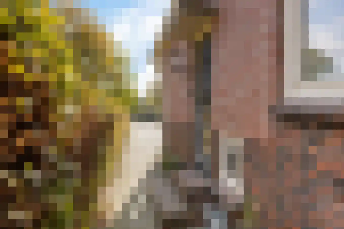 Familie Bronsweg 14 Wagenborgen thumbnail 19