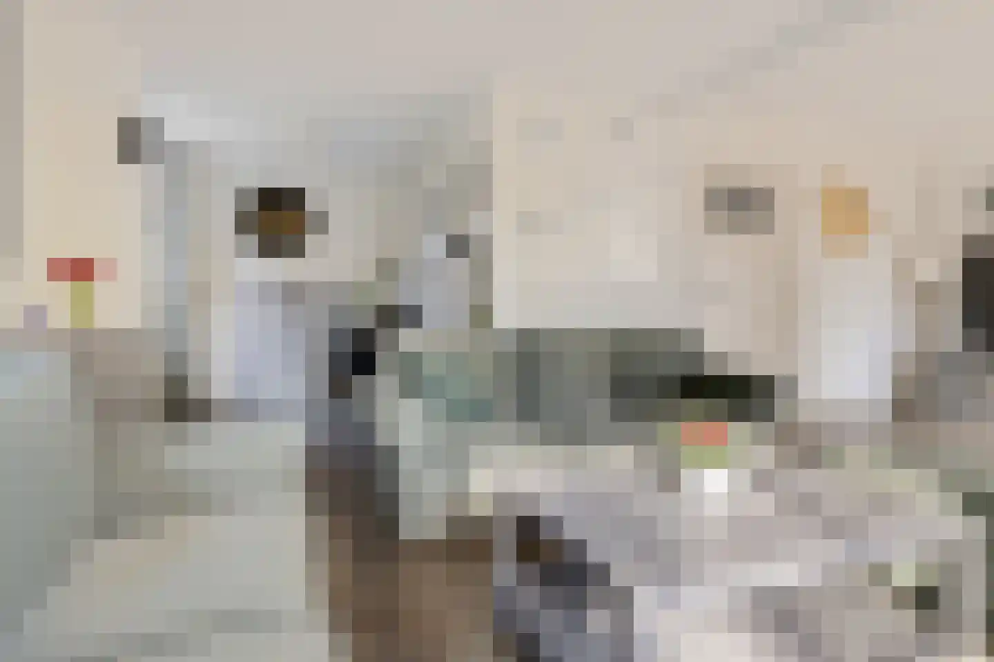 Familie Bronsweg 14 Wagenborgen thumbnail 31