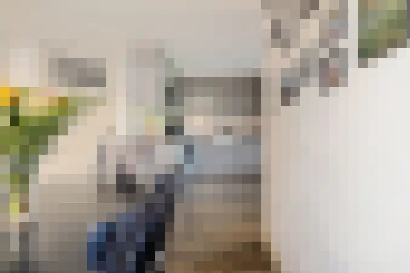 Familie Bronsweg 14 Wagenborgen thumbnail 34