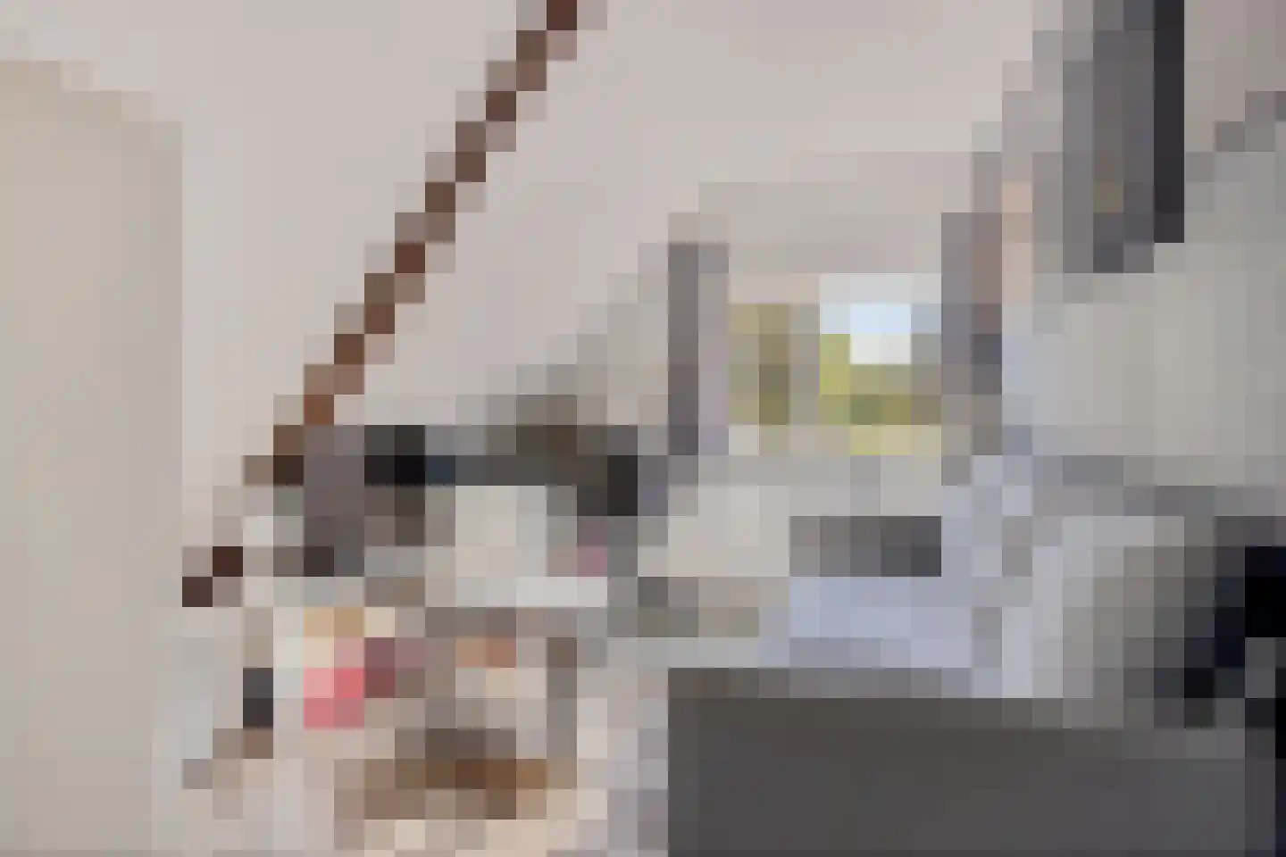 Familie Bronsweg 14 Wagenborgen thumbnail 48