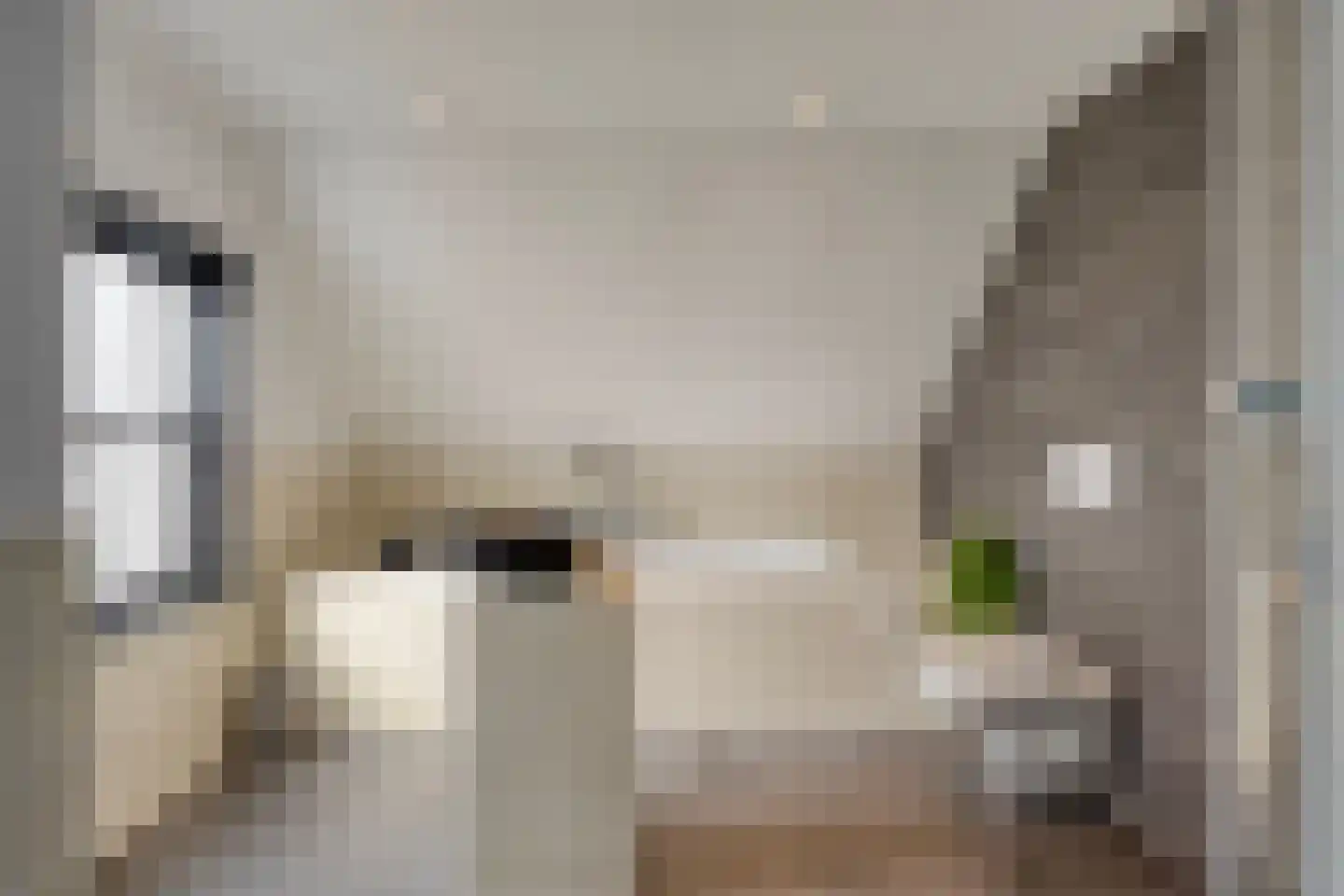 Fanerweg 18 Niekerk thumbnail 26