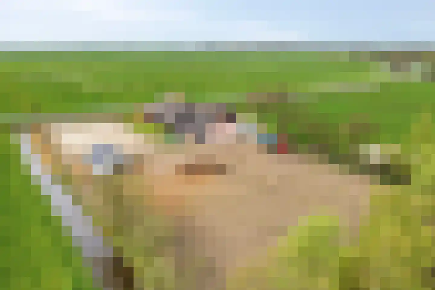 Fanerweg 18 Niekerk thumbnail 4
