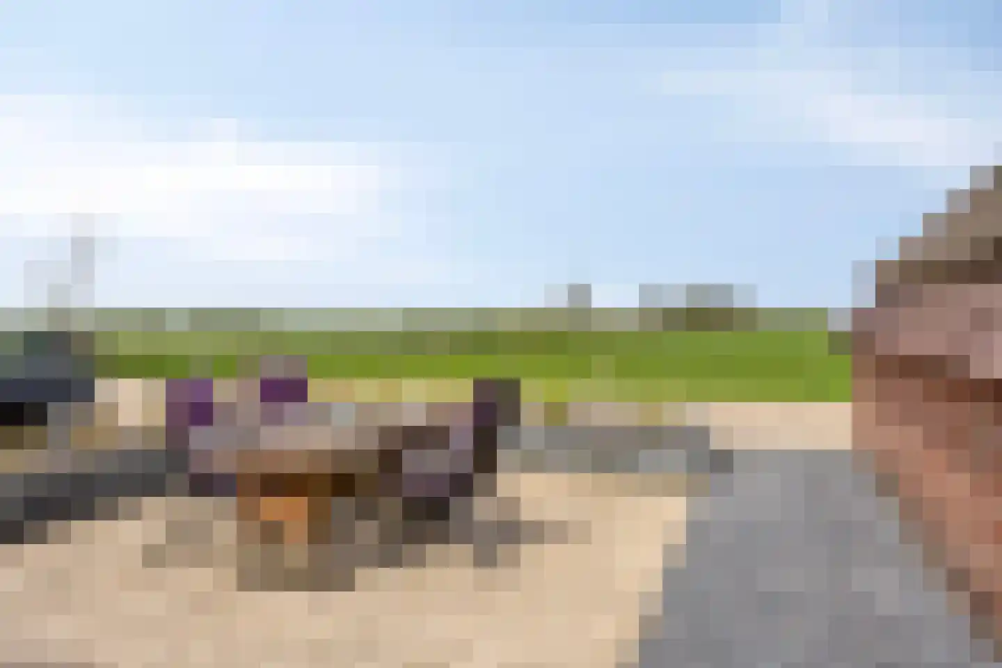 Fanerweg 18 Niekerk thumbnail 41