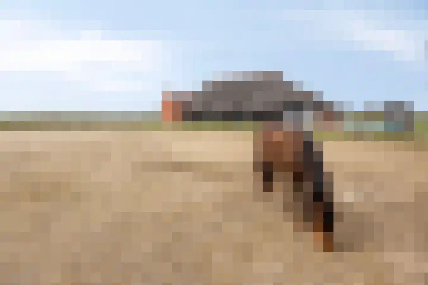 Fanerweg 18 Niekerk thumbnail 43
