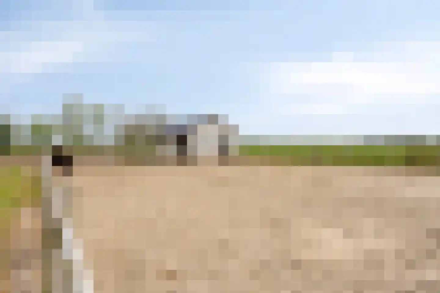 Fanerweg 18 Niekerk thumbnail 45