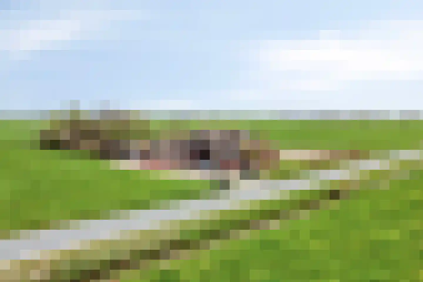 Fanerweg 18 Niekerk thumbnail 55
