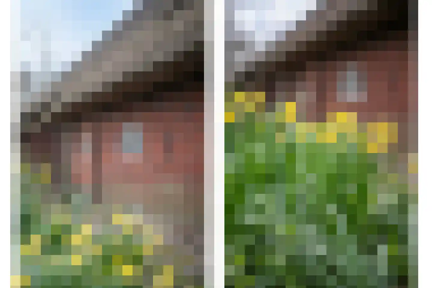 Fanerweg 2 Niekerk thumbnail 12