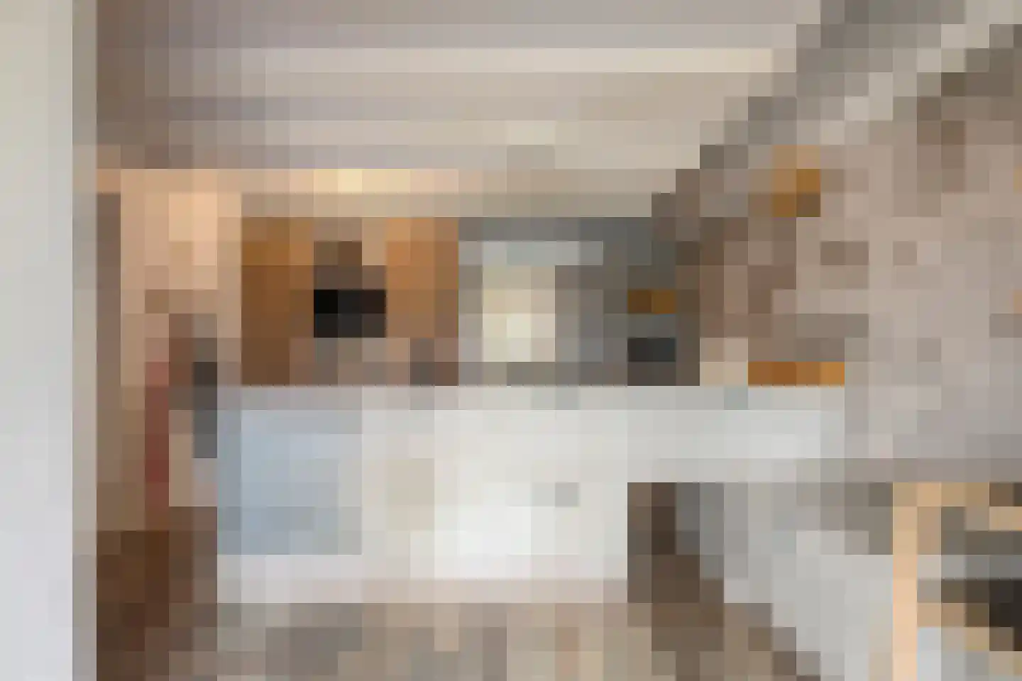 Fanerweg 2 Niekerk thumbnail 16