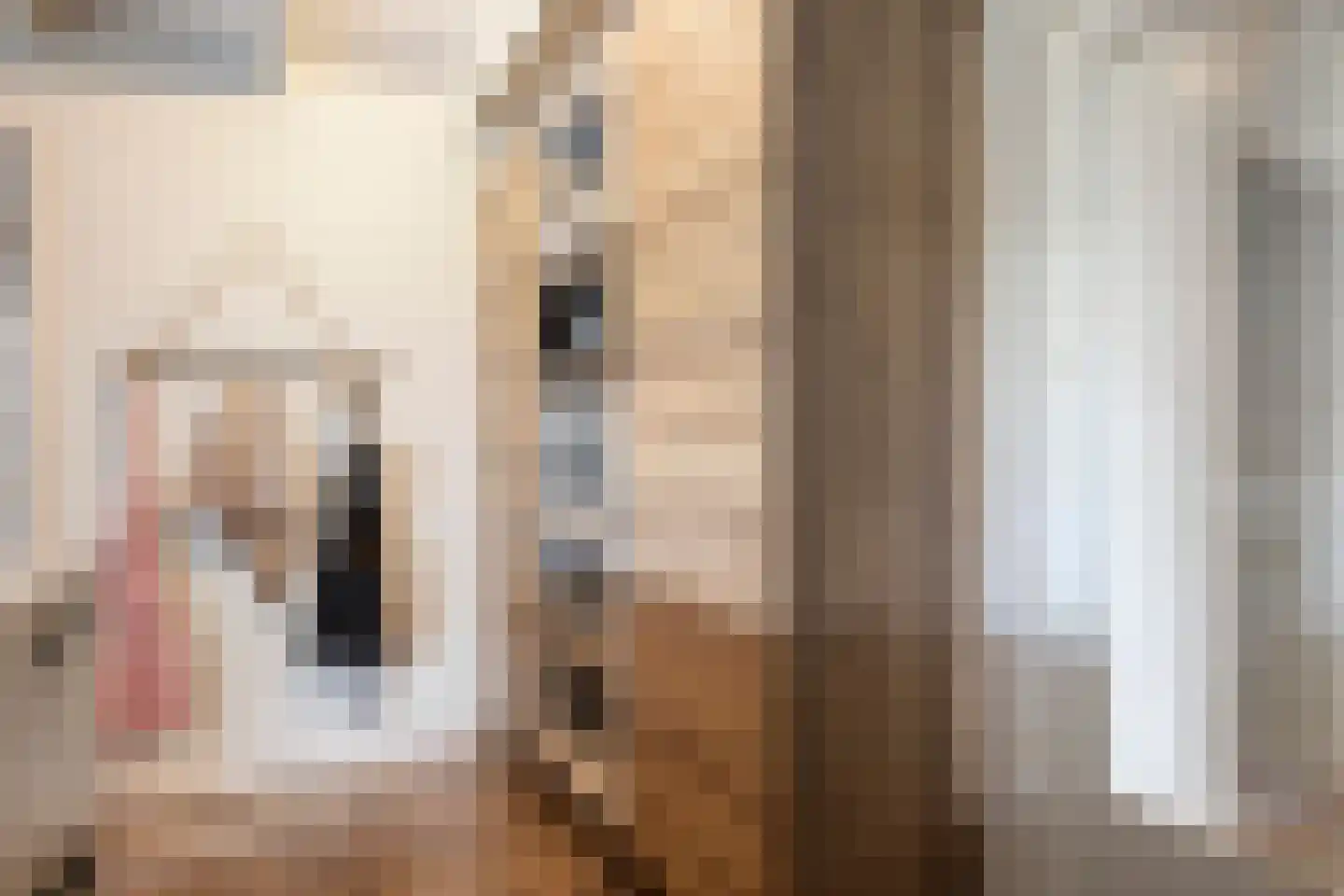 Fanerweg 2 Niekerk thumbnail 17