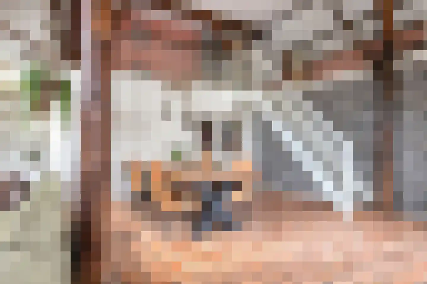 Fanerweg 2 Niekerk thumbnail 22